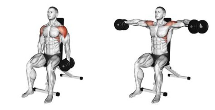Are lateral raises harmful?