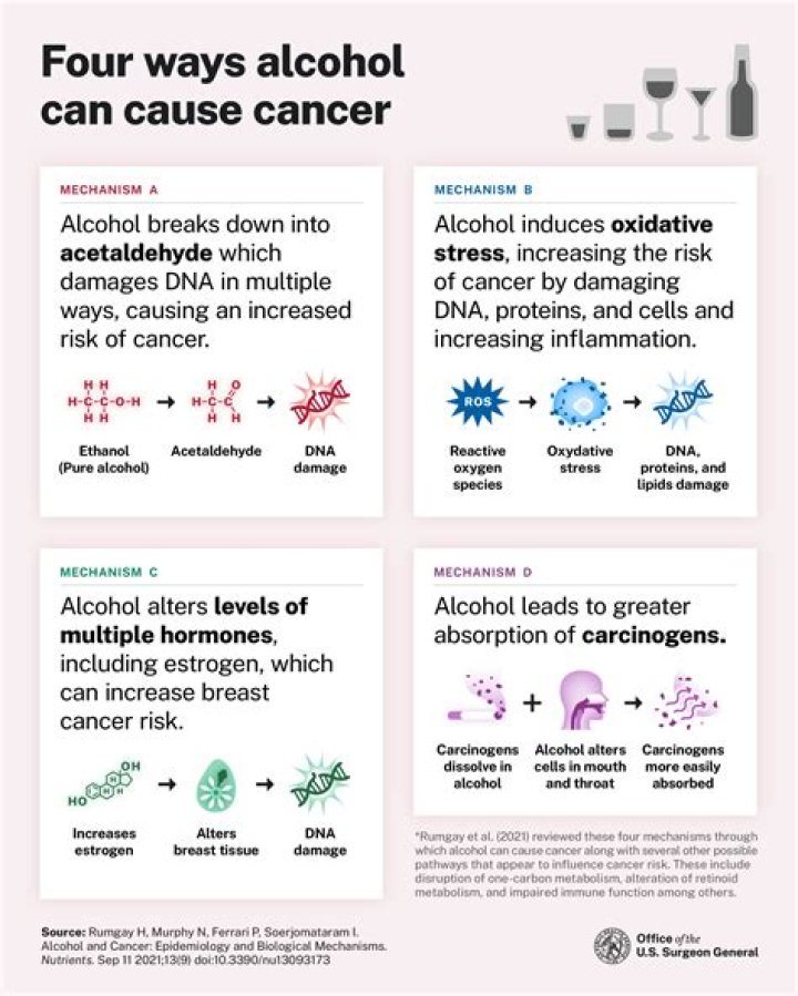 Does drinking alcohol cause free radicals?