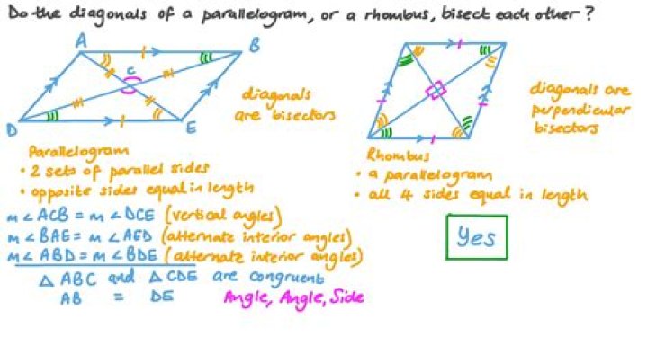 Does each diagonal bisect the other diagonal?
