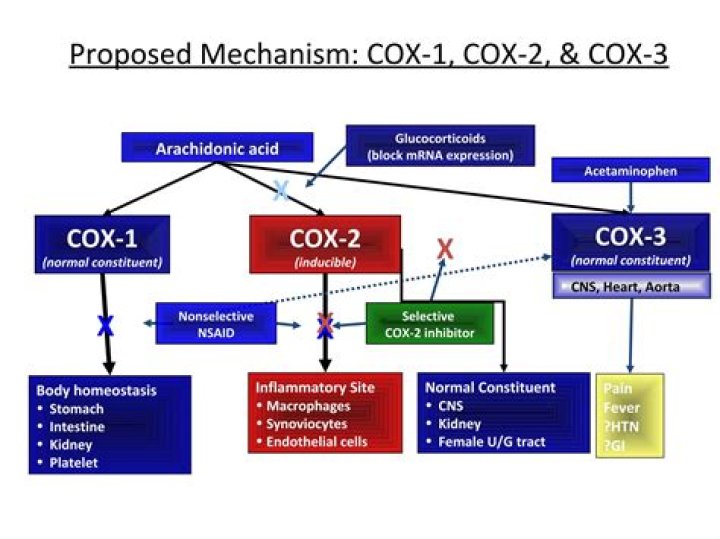 Does Vioxx cause death?
