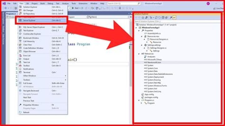 How do I show project Explorer in VBA?