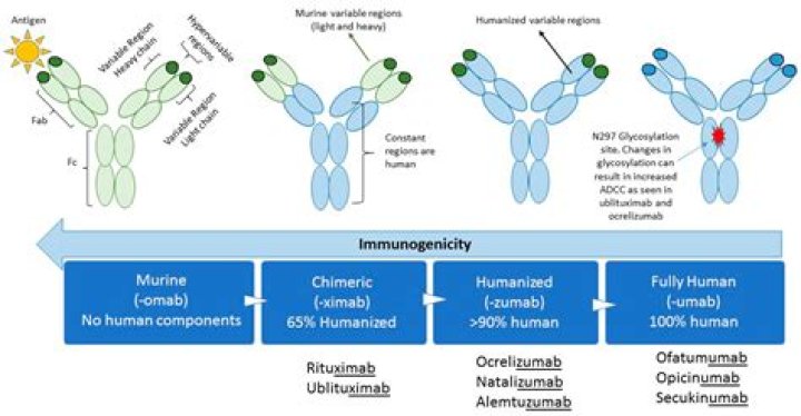 How do you administer Obinutuzumab?