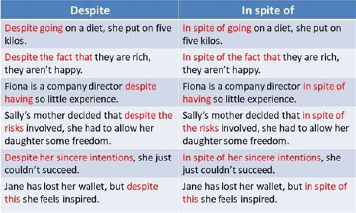 What is the meaning for spite?