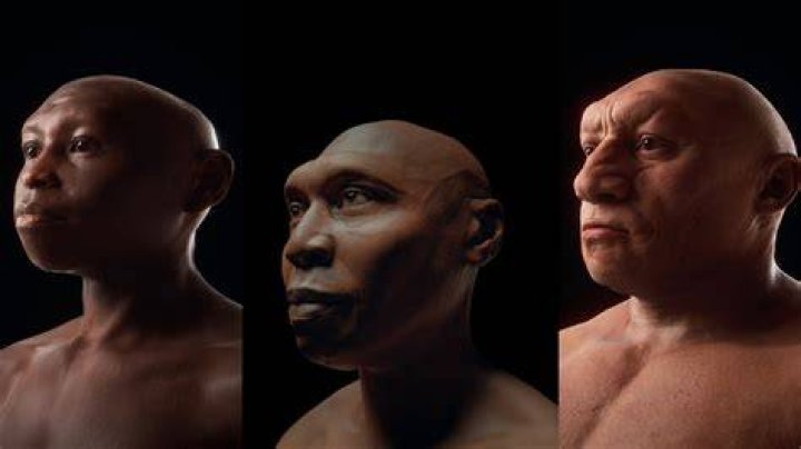 What technology did Homo erectus have?