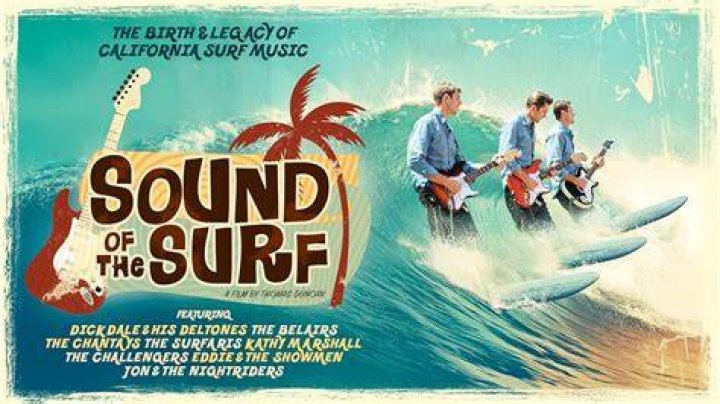 When can you surf fish in NC?